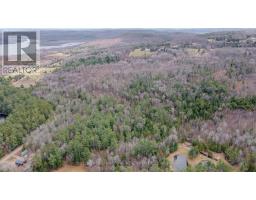 00 Lower Craigmont Road, Madawaska Valley, ON K0J1L0 Photo 18