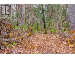 00 Lower Craigmont Road, Madawaska Valley, ON K0J1L0 Photo 21