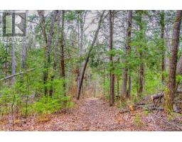 00 Lower Craigmont Road, Madawaska Valley, ON K0J1L0 Photo 22