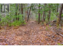 00 Lower Craigmont Road, Madawaska Valley, ON K0J1L0 Photo 23