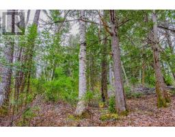 00 Lower Craigmont Road, Madawaska Valley, ON K0J1L0 Photo 24