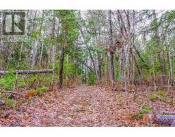 00 Lower Craigmont Road, Madawaska Valley, ON K0J1L0 Photo 25