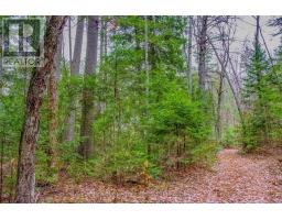00 Lower Craigmont Road, Madawaska Valley, ON K0J1L0 Photo 26