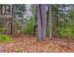 00 Lower Craigmont Road, Madawaska Valley, ON K0J1L0 Photo 8