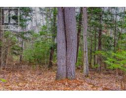 00 Lower Craigmont Road, Madawaska Valley, ON K0J1L0 Photo 9