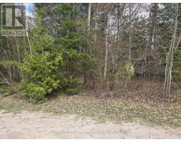 101 Sunnidale Road N, Wasaga Beach, ON L9Z2B8 Photo 7