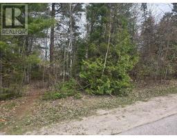 101 Sunnidale Road N, Wasaga Beach, ON L9Z2B8 Photo 6