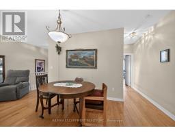 Recreational, Games room - 59 Riveroaks Drive, Hamilton, ON L0R1W0 Photo 8