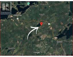 Louisbourg Highway, Catalone, NS B1C2E6 Photo 9