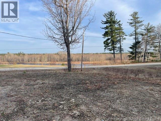 1056 Halcomb Road - 4
