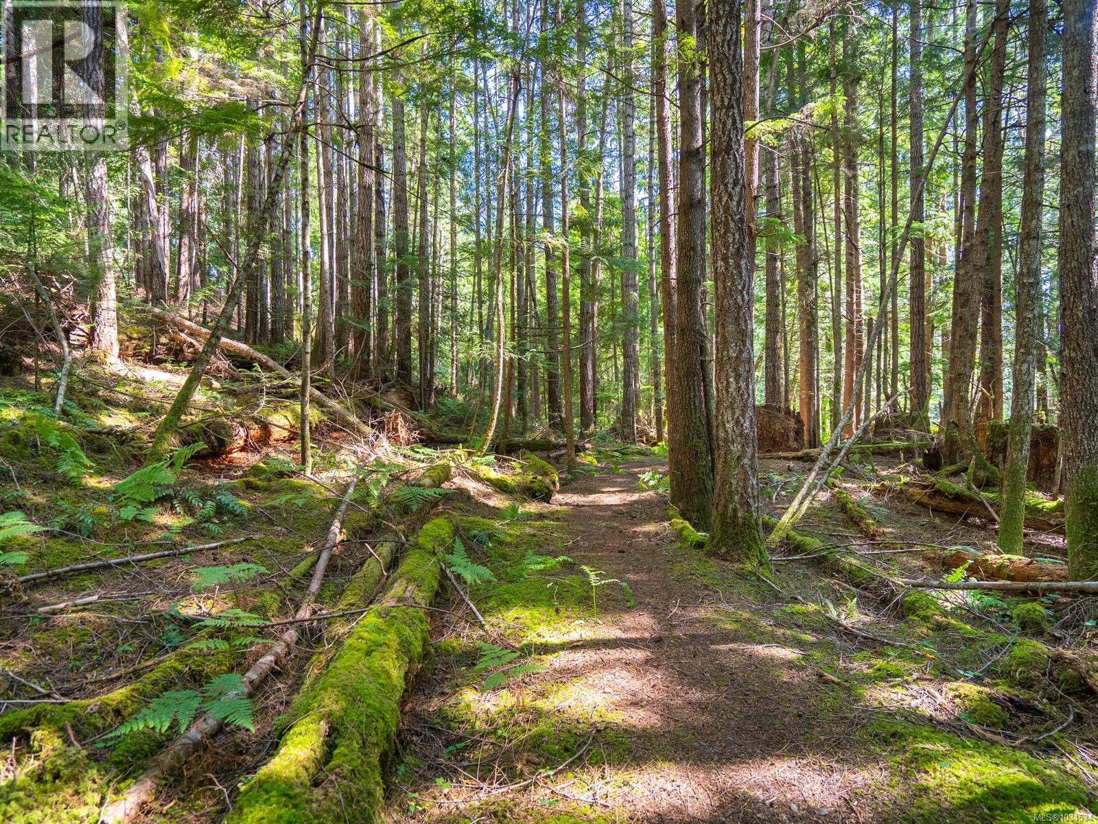 1055 Spider Lake Rd - 75