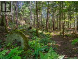 1055 Spider Lake Rd, Qualicum Beach, BC V9K2L7 Photo 74