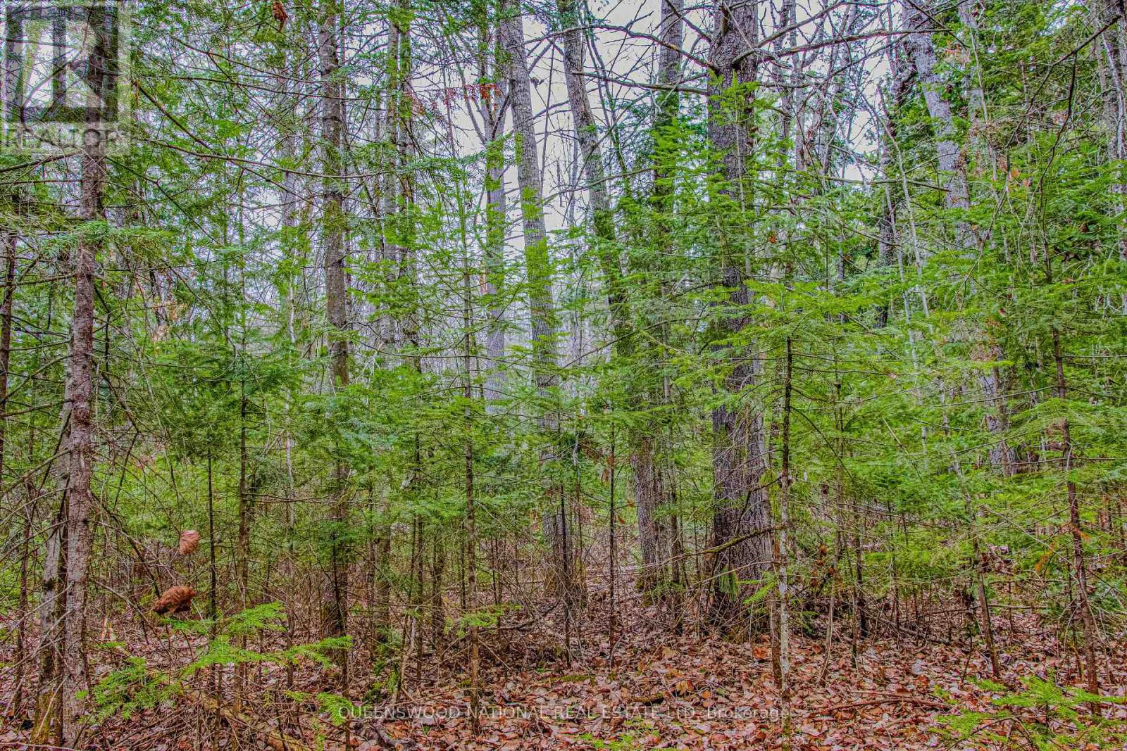 000 Lower Craigmont Road — photo 19