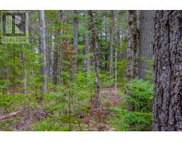 000 Lower Craigmont Road, Madawaska Valley, ON K0J1L0 Photo 10