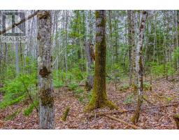 000 Lower Craigmont Road, Madawaska Valley, ON K0J1L0 Photo 12
