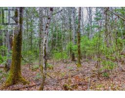 000 Lower Craigmont Road, Madawaska Valley, ON K0J1L0 Photo 13