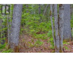 000 Lower Craigmont Road, Madawaska Valley, ON K0J1L0 Photo 14