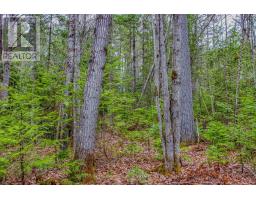 000 Lower Craigmont Road, Madawaska Valley, ON K0J1L0 Photo 15