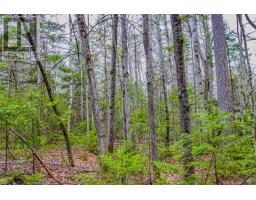 000 Lower Craigmont Road, Madawaska Valley, ON K0J1L0 Photo 16