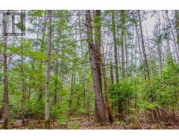 000 Lower Craigmont Road, Madawaska Valley, ON K0J1L0 Photo 17