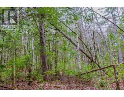 000 Lower Craigmont Road, Madawaska Valley, ON K0J1L0 Photo 18