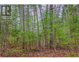 000 Lower Craigmont Road, Madawaska Valley, ON K0J1L0 Photo 19