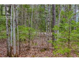 000 Lower Craigmont Road, Madawaska Valley, ON K0J1L0 Photo 20