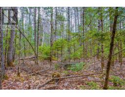 000 Lower Craigmont Road, Madawaska Valley, ON K0J1L0 Photo 22