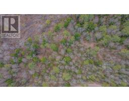 000 Lower Craigmont Road, Madawaska Valley, ON K0J1L0 Photo 26