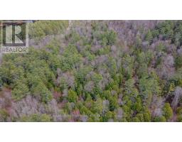 000 Lower Craigmont Road, Madawaska Valley, ON K0J1L0 Photo 29