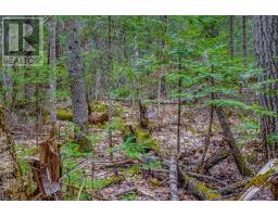 000 Lower Craigmont Road, Madawaska Valley, ON K0J1L0 Photo 6