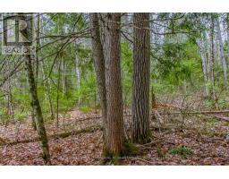 000 Lower Craigmont Road, Madawaska Valley, ON K0J1L0 Photo 7