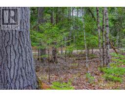 000 Lower Craigmont Road, Madawaska Valley, ON K0J1L0 Photo 8