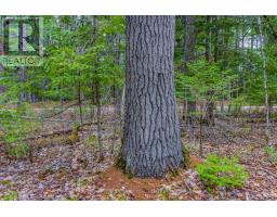 000 Lower Craigmont Road, Madawaska Valley, ON K0J1L0 Photo 9
