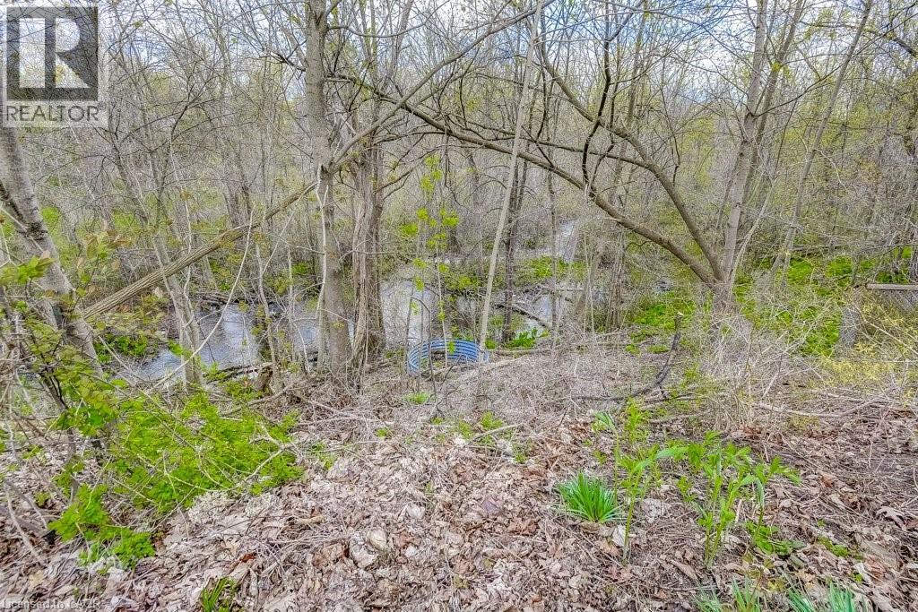 121 ELGIN Street, Waterdown, Ontario, L0R2H0 — Photo 41
