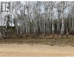 1 Aspen Way, Nipawin Rm No  487, SK S0E1E0 Photo 10