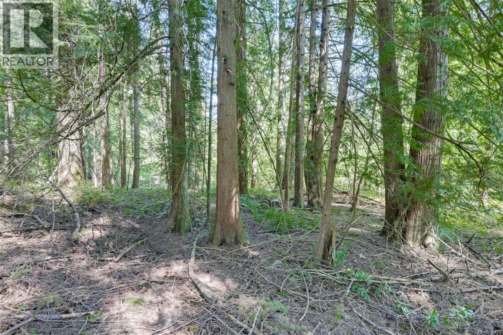 2024 Renfrew Rd - 81