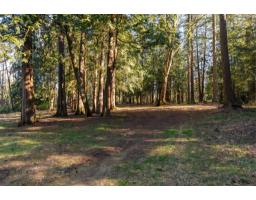 17438 28 Avenue, Surrey, BC V3Z0E7 Photo 36