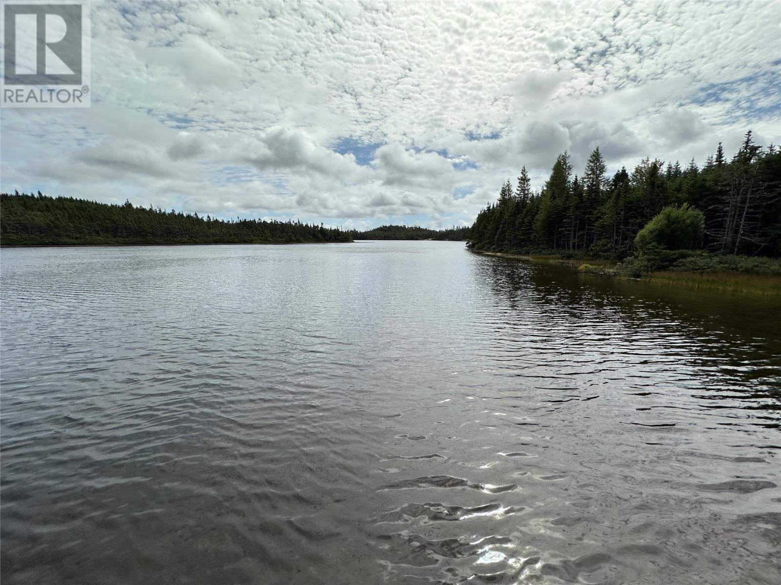 #38 Route 90, Salmonier Line - 11