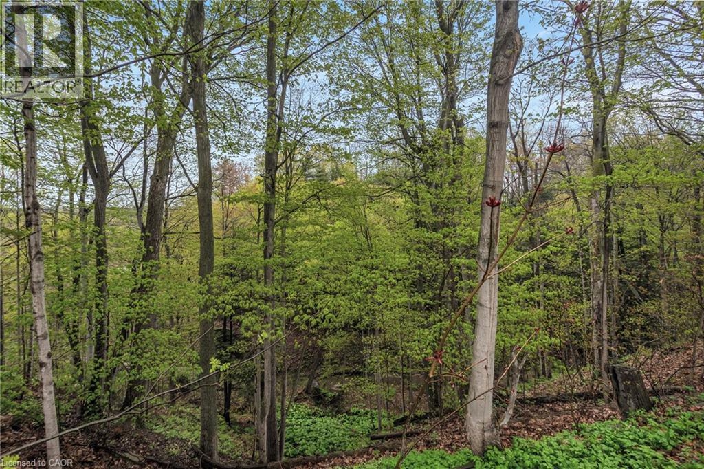 11 THISTLE Court, Tillsonburg, Ontario, N4G2S8 — Photo 34