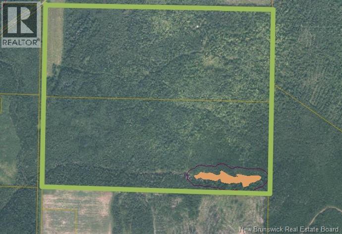 200 Acres Walker Road