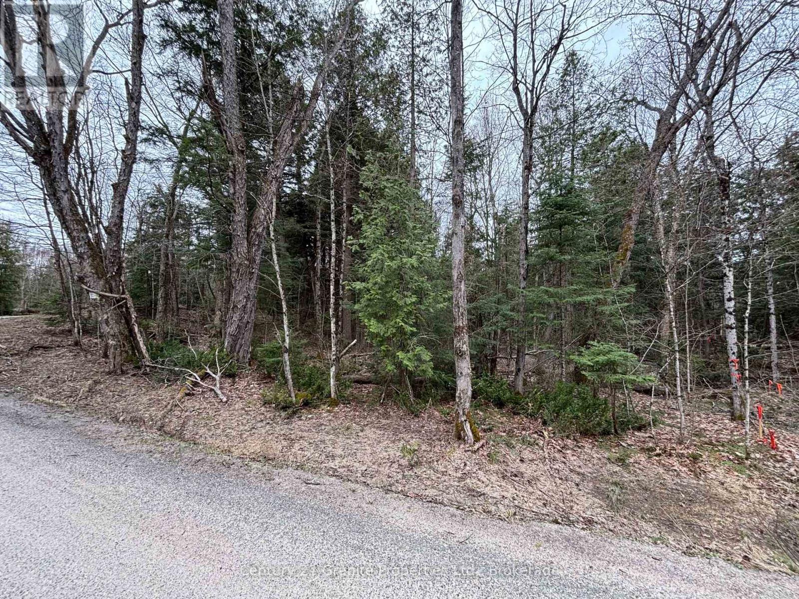 LOT 1 LOCH ERNE ROAD, McDougall — photo 3