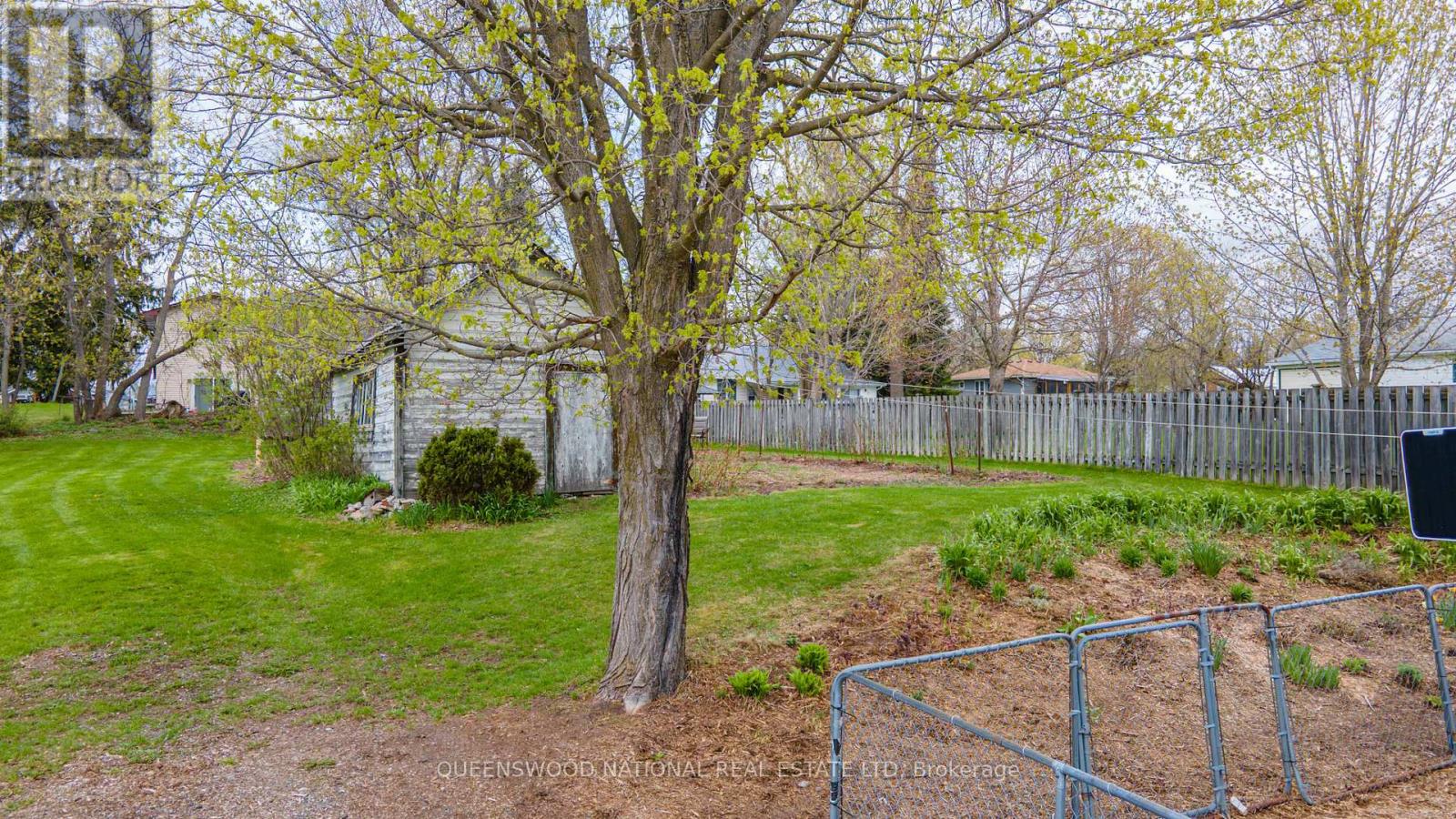 232 ELGIN STREET - 6
