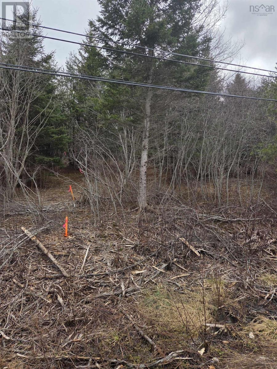 Property 8 of 14 of CWM-A Highway 236, Stanley