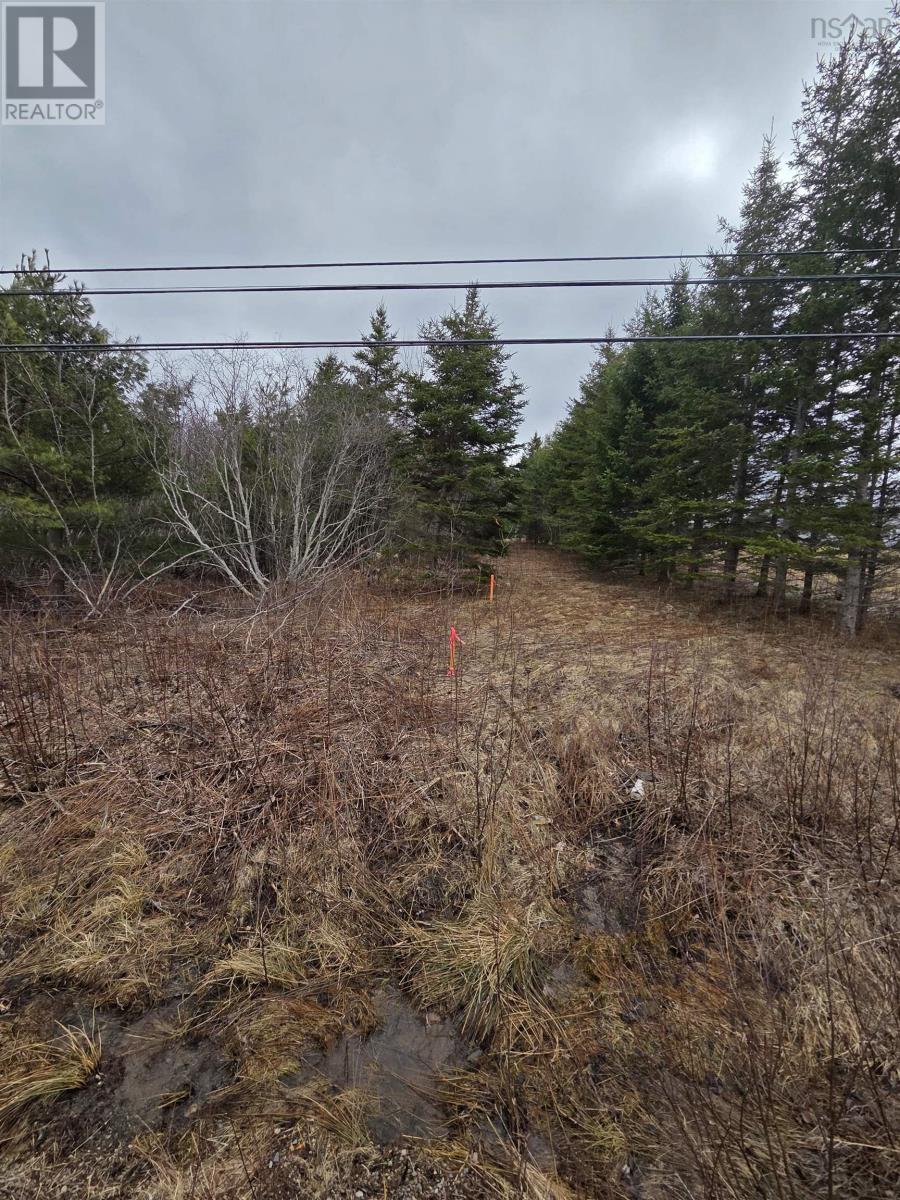 Property 3 of 14 of CWM-A Highway 236, Stanley