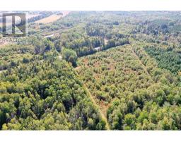 Lot 59 Rte 315, Wood Island Road, Kilmuir, PE C0A1R0 Photo 6