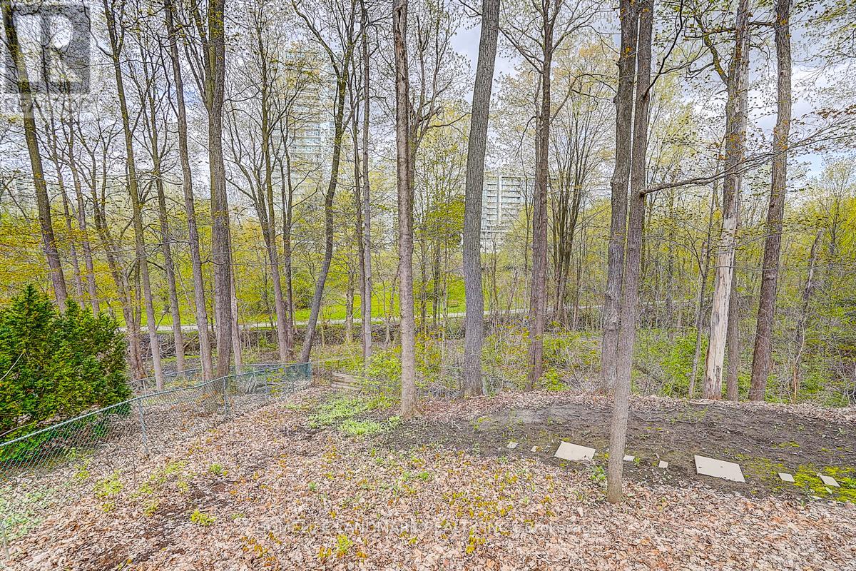 39 SAGEBRUSH LANE - 17