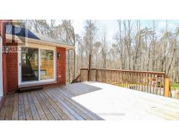 Bedroom - 602 Scarlett Line, Springwater, ON L0L1V0 Photo 10