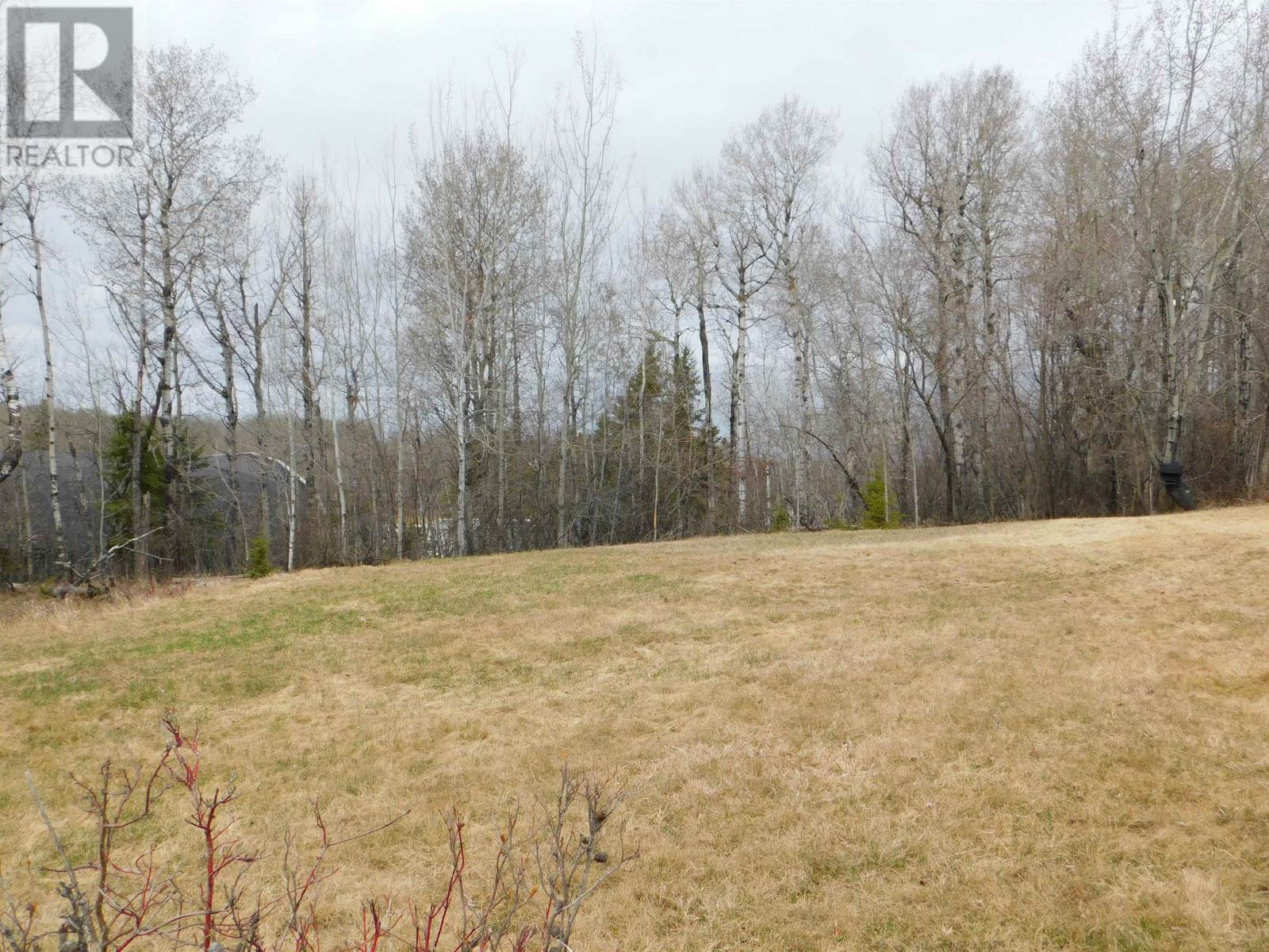 113 Third ST, Dryden, Ontario, P8N2V8 — Photo 3