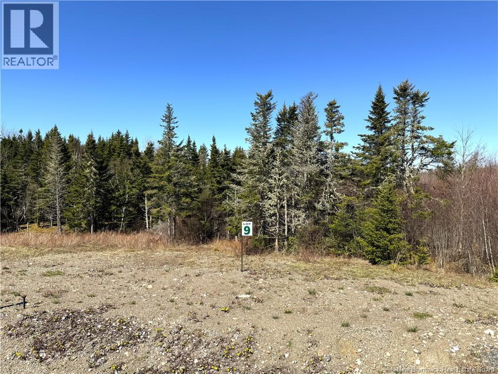 Lot 25-09 Hillside Estates, St George — photo 2
